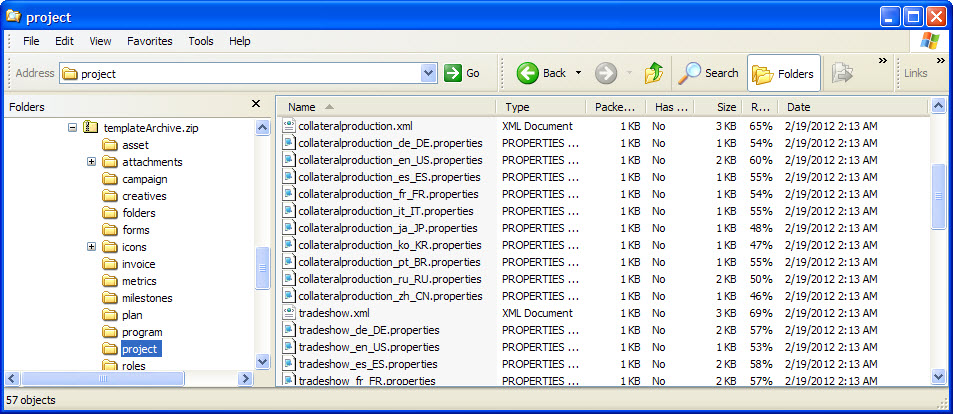 Windows Explorer 并且 templateArchive.zip\project 子目录打开